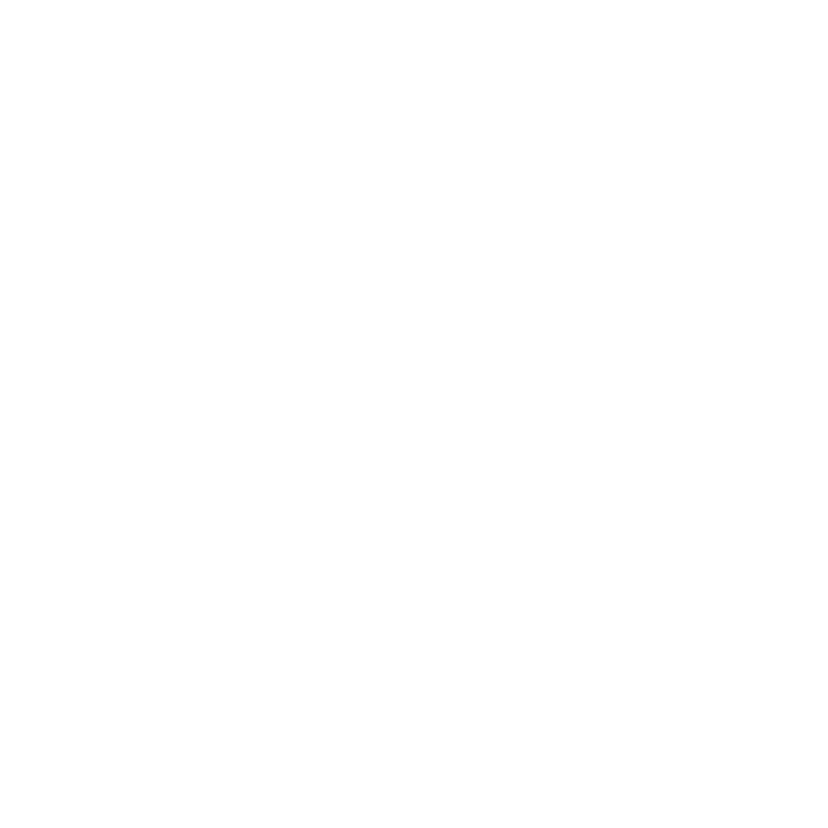White graphic icon of a pizza.
