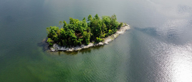 an island with trees.